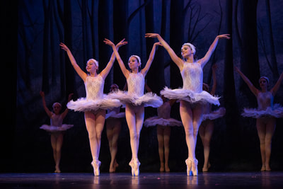 ballet classes, performance and company teams